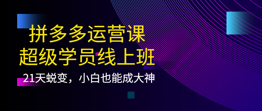 拼多多运营课：超级学员线上班，21天蜕变，小白也能成大神-有量联盟