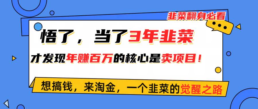 悟了，当了3年韭菜，才发现网赚圈年赚100万的核心是卖项目，含泪分享！-有量联盟