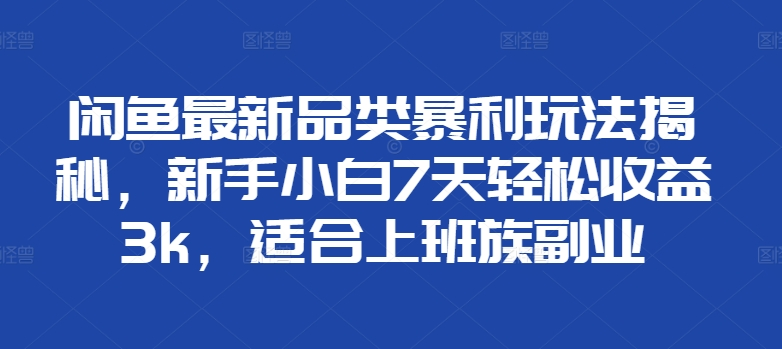 闲鱼最新品类暴利玩法揭秘，新手小白7天轻松赚3000+，适合上班族副业-有量联盟