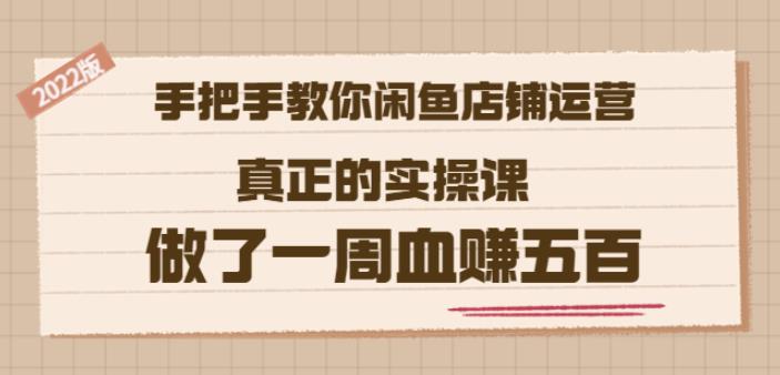 2022版《手把手教你闲鱼店铺运营》真正的实操课做了一周血赚五百(16节课)-有量联盟