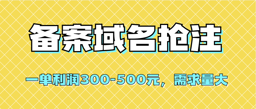 【全网首发】备案域名抢注，一单利润300-500元，需求量大-有量联盟