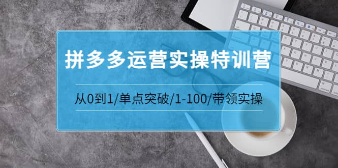 拼多多运营实操特训营：从0到1/单点突破/1-100/带领实操 价值2980元-有量联盟