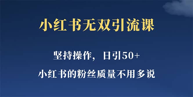 小红书无双课一天引50+女粉，不用做视频发视频，小白也很容易上手拿到结果-有量联盟