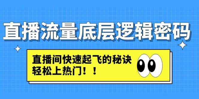 直播流量底层逻辑密码：直播间快速起飞的秘诀，轻松上热门-有量联盟