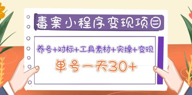 毒案小程序变现项目：养号+对标+工具素材+实操+变现-有量联盟