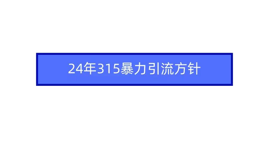 2024年315暴力引流方针-有量联盟