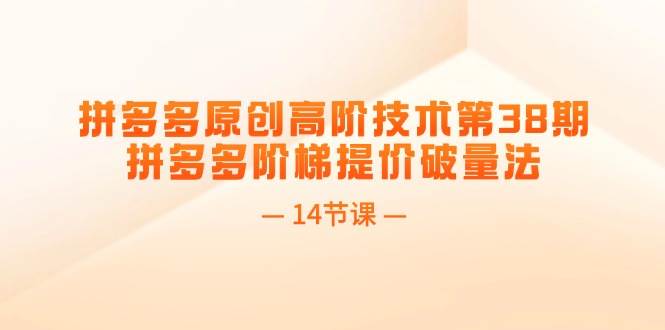 拼多多原创高阶技术第38期，拼多多阶梯提价破量法（14节课）-有量联盟