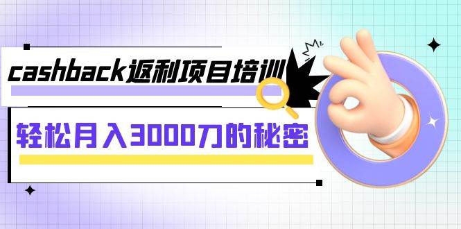 cashback返利项目培训：轻松月入3000刀的秘密（8节课）-有量联盟
