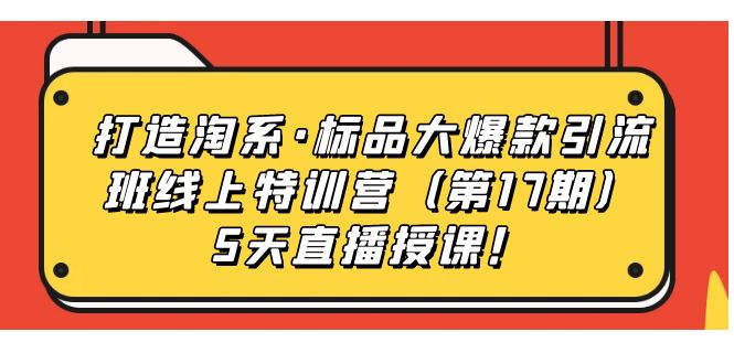 打造淘系·标品大爆款引流班线上特训营5天直播授课！-有量联盟