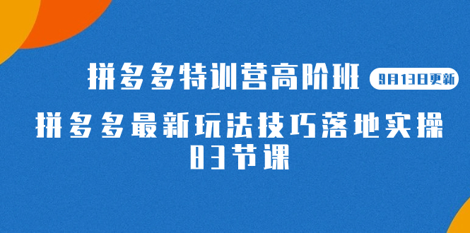 2023拼多多·特训营高阶班【9月13日更新】拼多多最新玩法技巧落地实操-83节-有量联盟