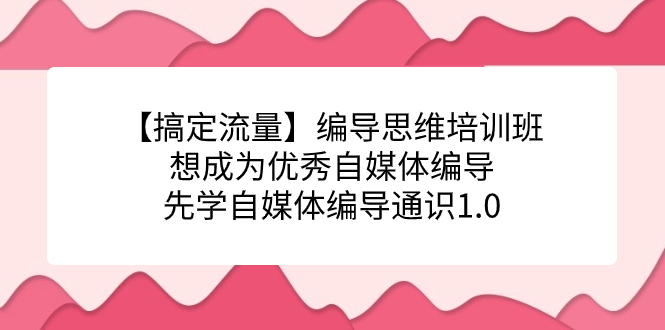 【搞定流量】编导思维培训班，想成为优秀自媒体编导先学自媒体编导通识1.0-有量联盟