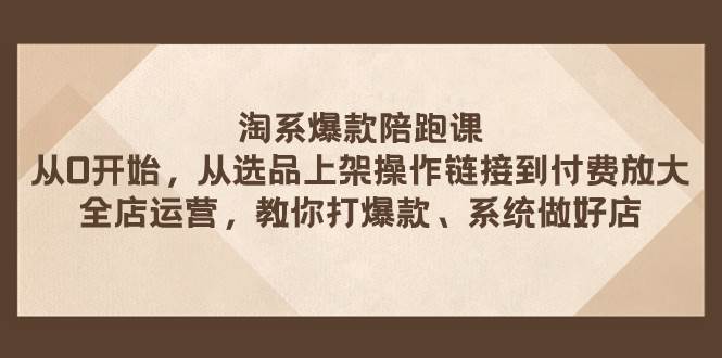 淘系爆款陪跑课 从选品上架操作链接到付费放大 全店运营 打爆款 系统做好店-有量联盟