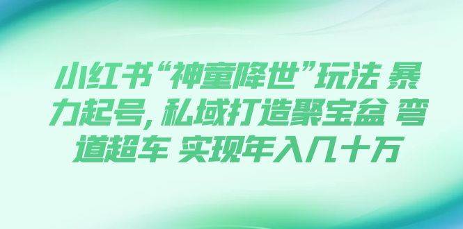 小红书“神童降世”玩法 暴力起号,私域打造聚宝盆 弯道超车 实现年入几十万-有量联盟