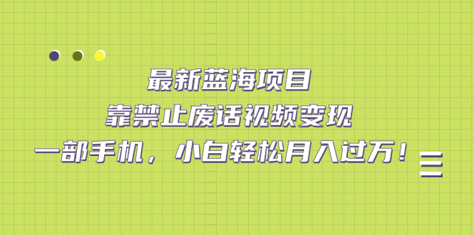 最新蓝海项目，靠禁止废话视频变现，一部手机，小白轻松月入过万！-有量联盟