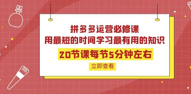 拼多多运营必修课：20节课每节5分钟左右，用最短的时间学习最有用的知识-有量联盟