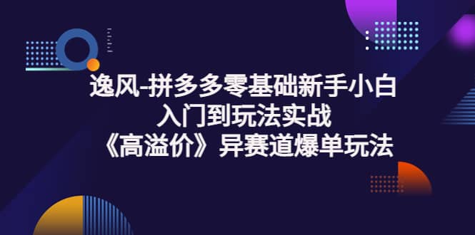 拼多多零基础新手小白入门到玩法实战《高溢价》异赛道爆单玩法实操课-有量联盟