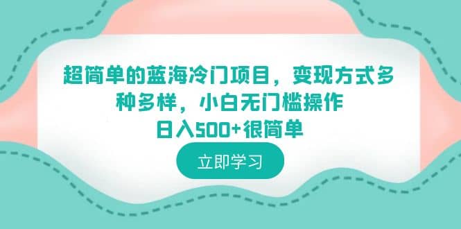 超简单的蓝海冷门项目，变现方式多种多样，小白无门槛操作日入500+很简单-有量联盟