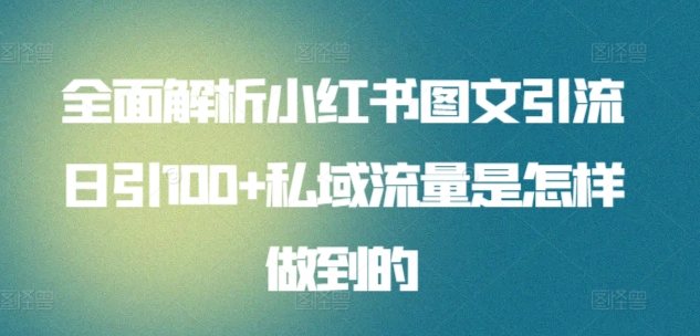 全面解析小红书图文引流日引100私域流量是怎样做到的-有量联盟