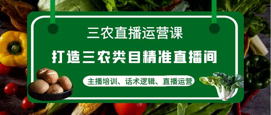 三农直播运营课：打造三农类目精准直播间，主播培训、话术逻辑、直播运营-有量联盟