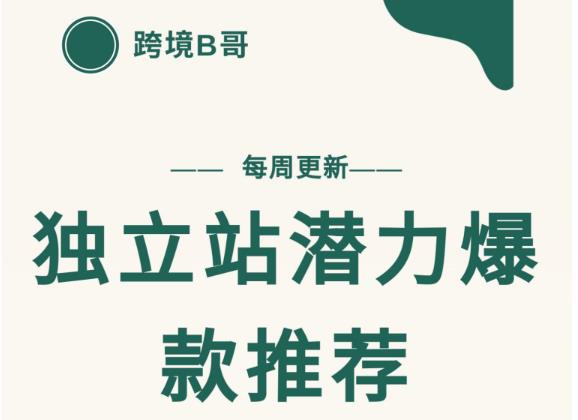 【跨境B哥】独立站潜力爆款选品推荐，测款出单率高达百分之80（每周更新）-有量联盟