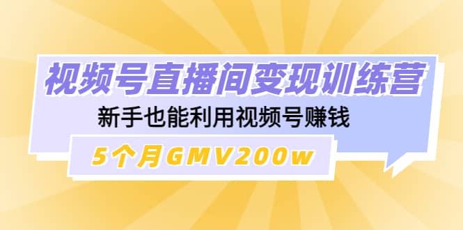 视频号直播间变现训练营-有量联盟