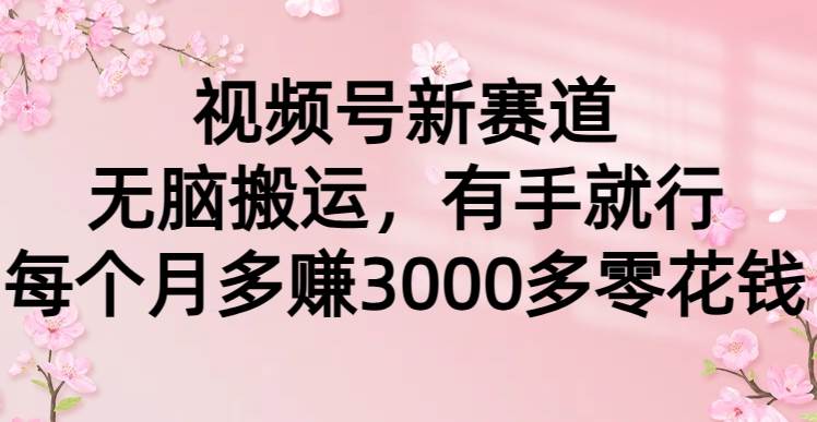 视频号新赛道，无脑搬运，有手就行，每个月多赚3000多零花钱-有量联盟