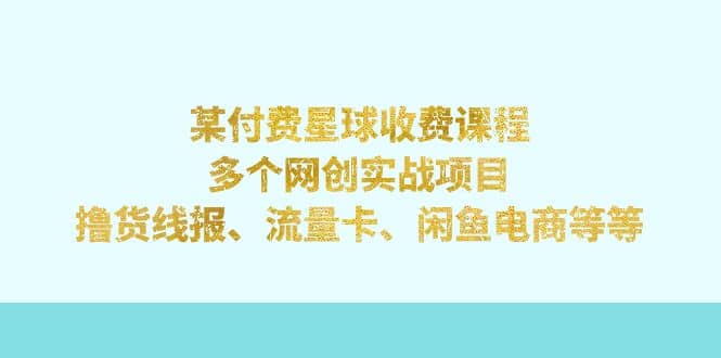 某付费星球课程：多个网创实战项目，撸货线报、流量卡、闲鱼电商等等-有量联盟