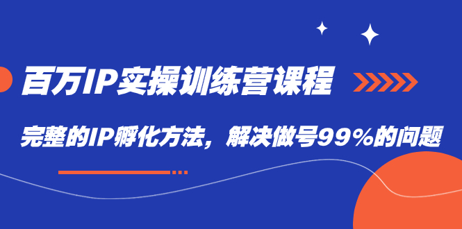 百万IP实战训练营课程，完整的IP孵化方法，解决做号99%的问题-有量联盟