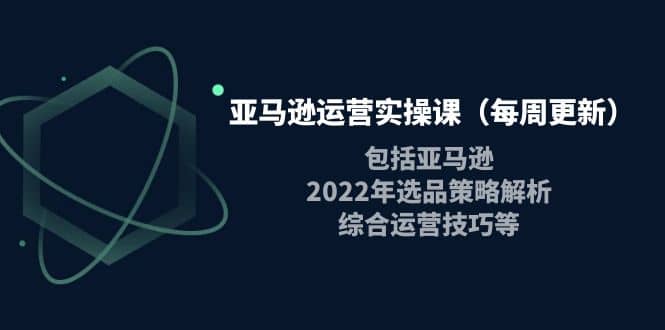 亚马逊运营实操课（每周更新）包括亚马逊2022选品策略解析，综合运营技巧等-有量联盟