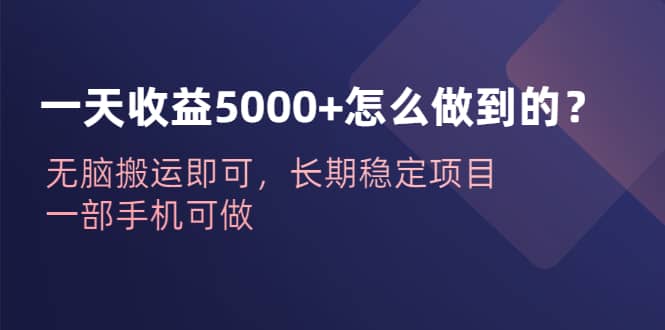 一天收益5000+怎么做到的？无脑搬运即可，长期稳定项目，一部手机可做-有量联盟