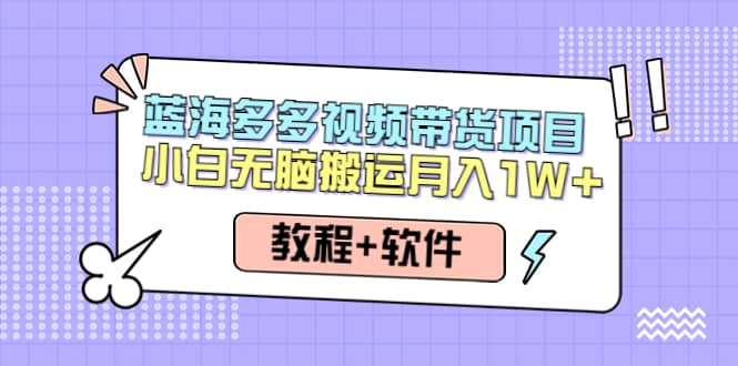 人人都能操作的蓝海多多视频带货项目 小白无脑搬运（教程+软件）-有量联盟