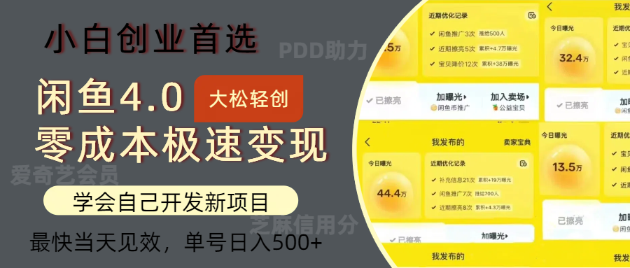 闲鱼0成本极速变现项目，多种变现方式，单号日入500+最新玩法-有量联盟