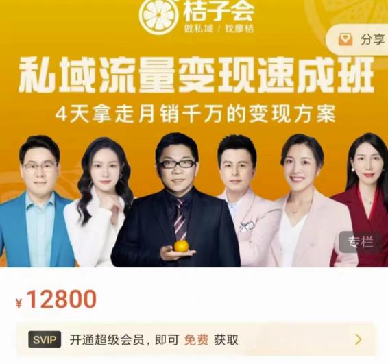 桔子会·私域流量变现速成班，4天拿走月销千万的变现方案 价值12800元-有量联盟
