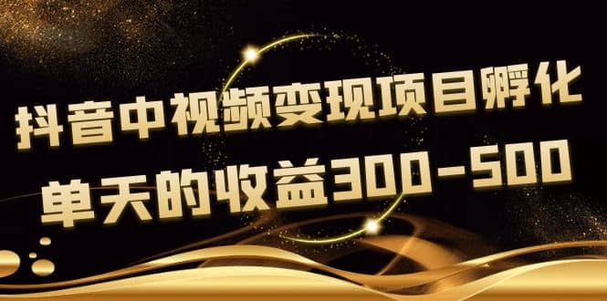 黄岛主《抖音中视频变现项目孵化》单天的收益300-500 操作简单粗暴-有量联盟