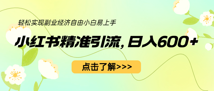 小红书精准引流，小白日入600+，轻松实现副业经济自由（教程+1153G资源）-有量联盟