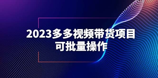 2023多多视频带货项目，可批量操作【保姆级教学】-有量联盟