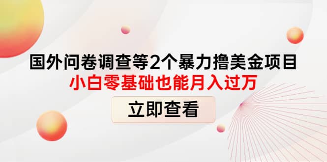 国外问卷调查等2个暴力撸美元项目，小白零基础也能月入过万-有量联盟