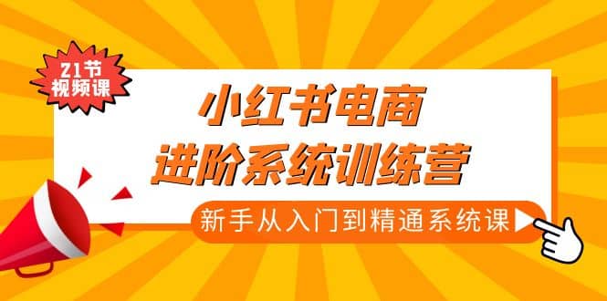 小红书电商进阶系统训练营：新手从入门到精通系统课（21节视频课）-有量联盟