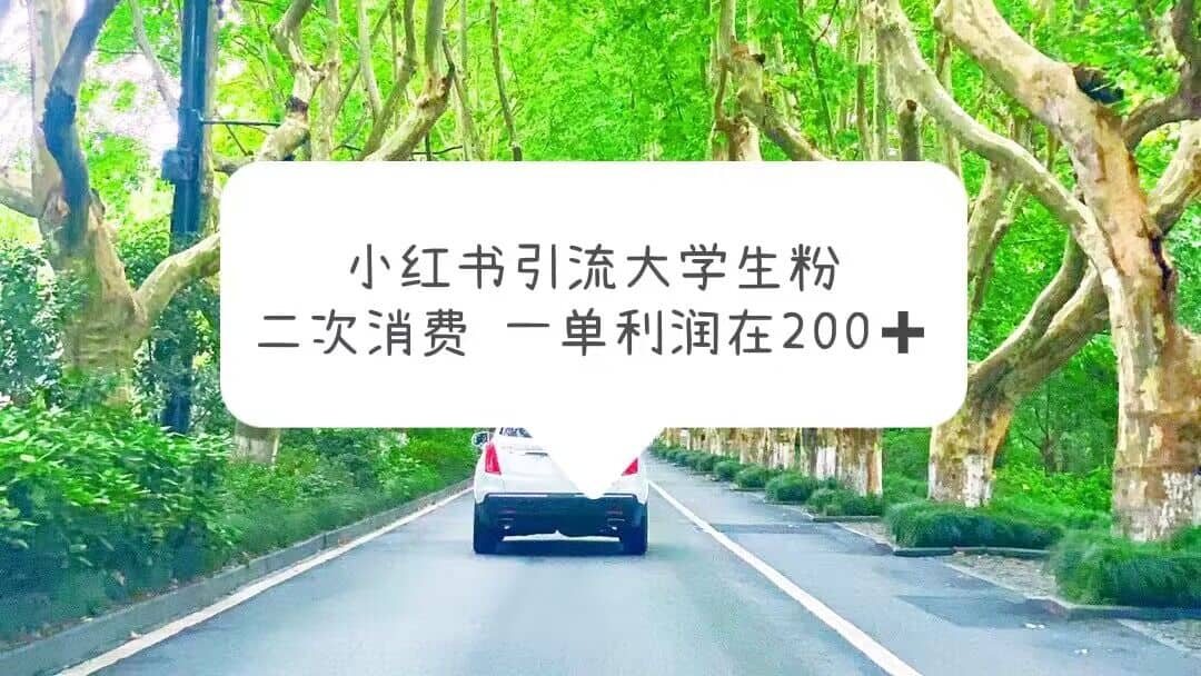 小红书引流大学生粉，变现项目，一单利润在200+（教程+资源）-有量联盟