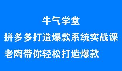 牛气学堂拼多多打造爆款系统实战课，老陶带你轻松打造爆款-有量联盟