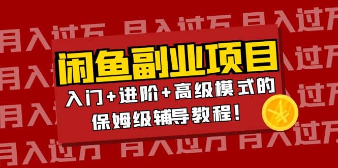 月入过万闲鱼副业项目：入门+进阶+高级模式的保姆级辅导教程-有量联盟