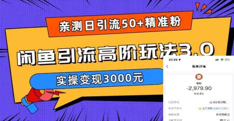 实测日引50+精准粉，闲鱼引流高阶玩法3.0，实操变现3000元-有量联盟