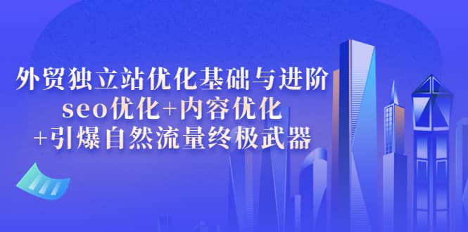 外贸独立站优化基础与进阶，seo优化+内容优化+引爆自然流量终极武器-有量联盟