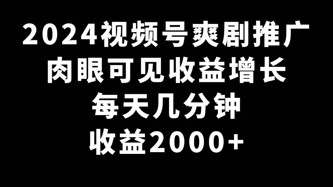 2024视频号爽剧推广，肉眼可见的收益增长，每天几分钟收益2000+-有量联盟