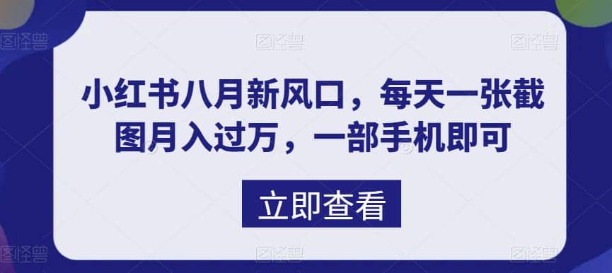 八月新风口，小红书虚拟项目一天收入1000+，实战揭秘-有量联盟