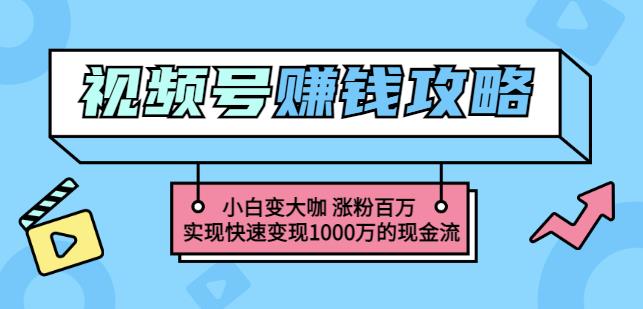 玩转微信视频号赚钱：小白变大咖涨粉百万实现快速变现1000万的现金流-有量联盟