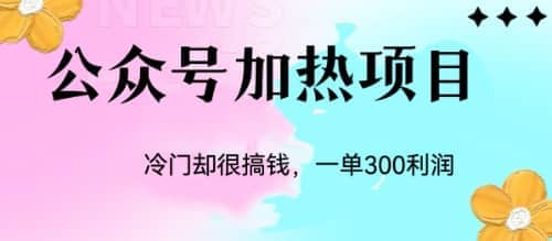 冷门公众号加热项目，一单利润300+-有量联盟