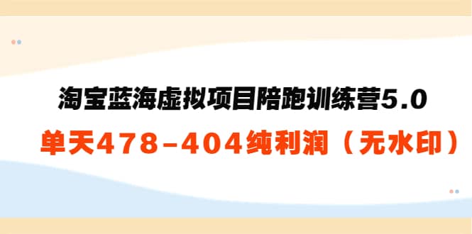 淘宝蓝海虚拟项目陪跑训练营5.0：单天478纯利润（无水印）-有量联盟