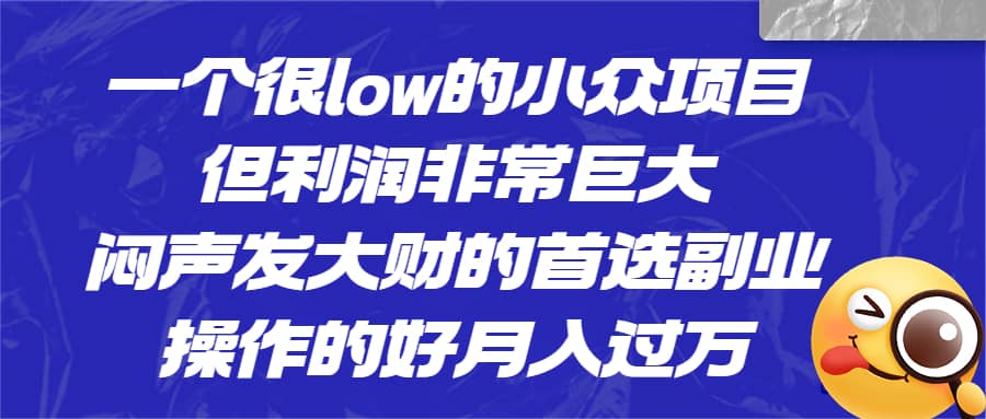 一个很low的小众项目，但利润非常巨大，闷声发大财的首选副业，月入过万-有量联盟