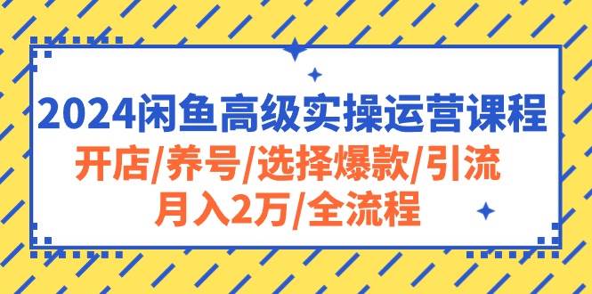 2024闲鱼高级实操运营课程：开店/养号/选择爆款/引流/月入2万/全流程-有量联盟